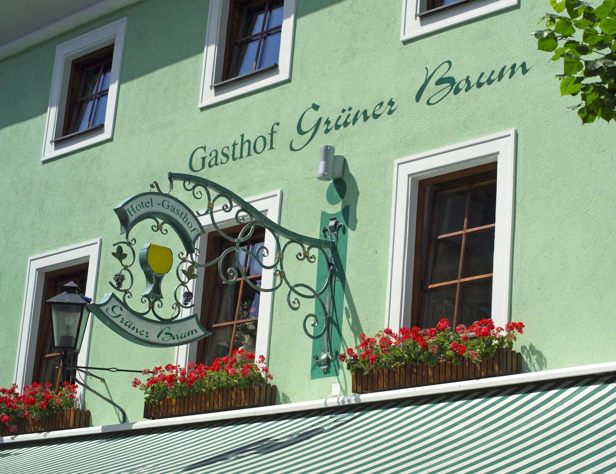 Hotel Gruener Baum เซลล์อัมเซ ภายนอก รูปภาพ